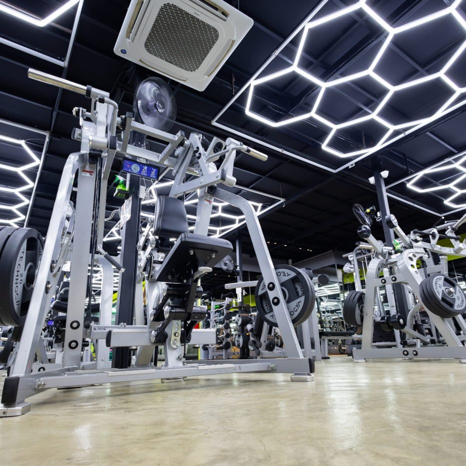 IMG_5034-Enhanced-NR